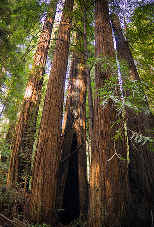 california