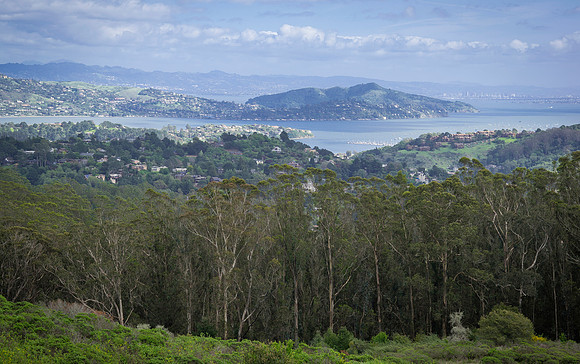 california