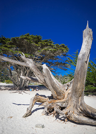 california
