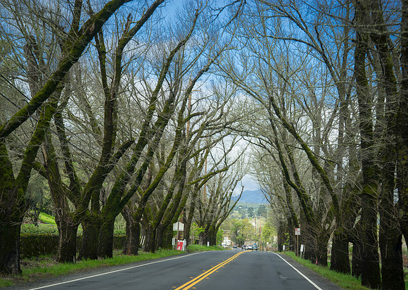 california