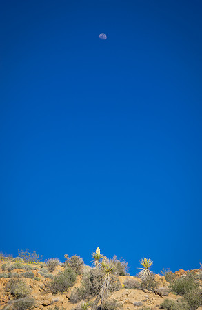 california