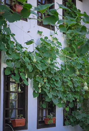 bulgaria