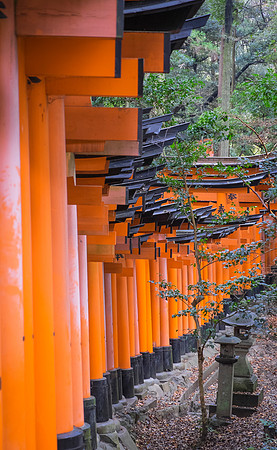 kyoto