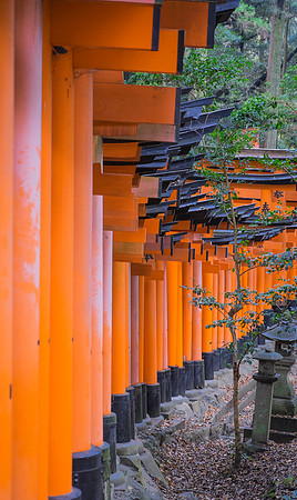 kyoto