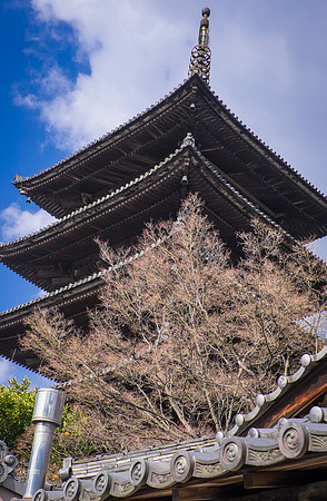 kyoto