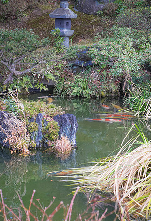 kyoto