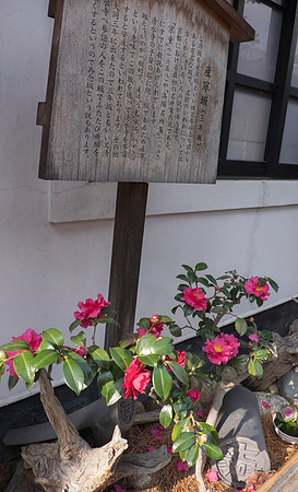 kyoto