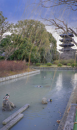 kyoto