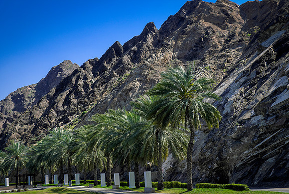 muscat city