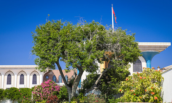 muscat city