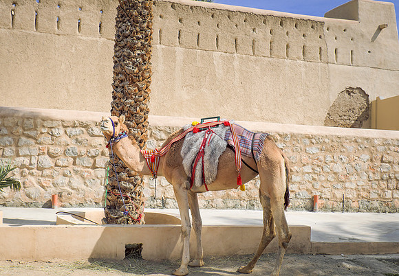 Oman