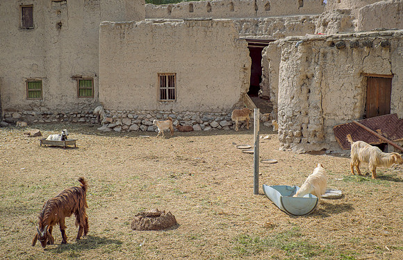 Oman