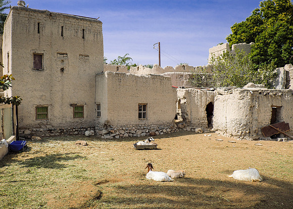Oman
