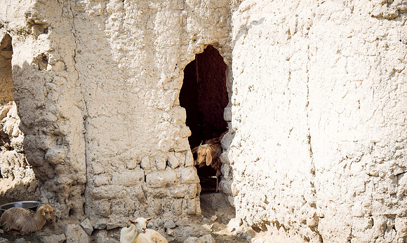 Oman