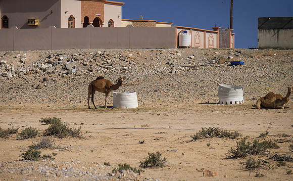 Oman