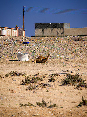 Oman