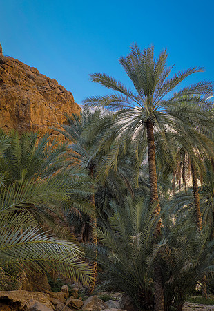 Oman