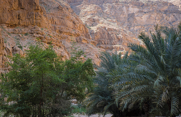 Oman