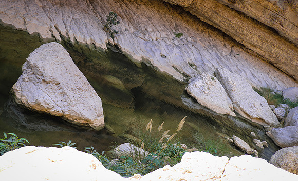 Oman