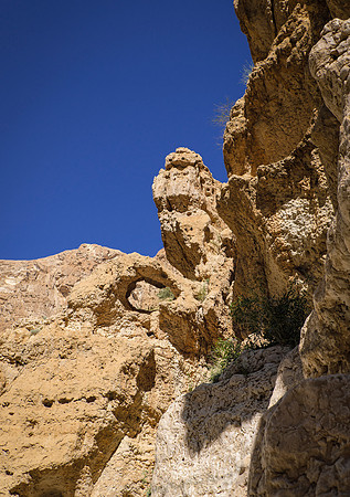 Oman