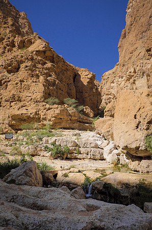 Oman