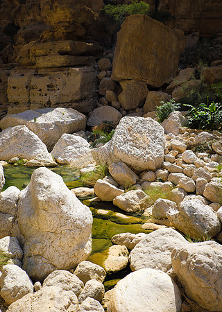 Oman