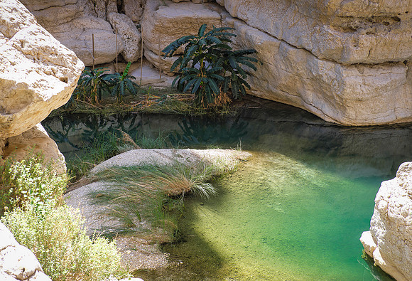 Oman