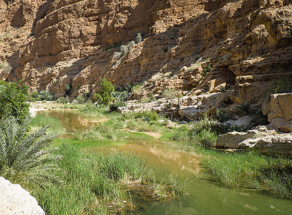 Oman