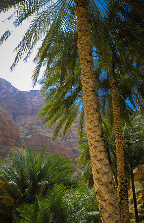 Oman