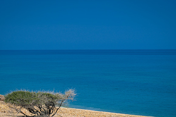 Oman